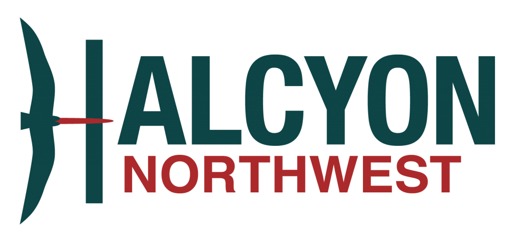 Halcyon-Logo.png